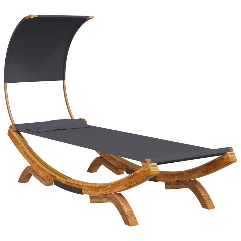 Ligbed Michiel - 100x200x126 cm - met luifel - antraciet