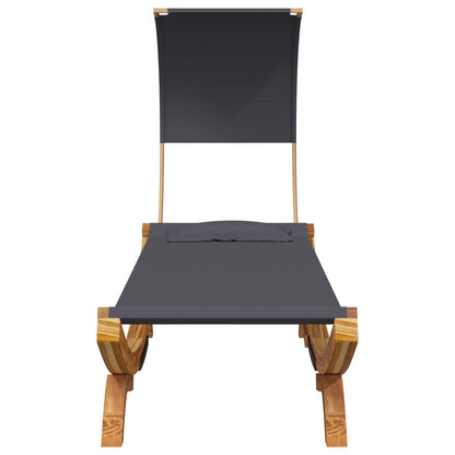 Ligbed Michiel - 100x200x126 cm - met luifel - antraciet