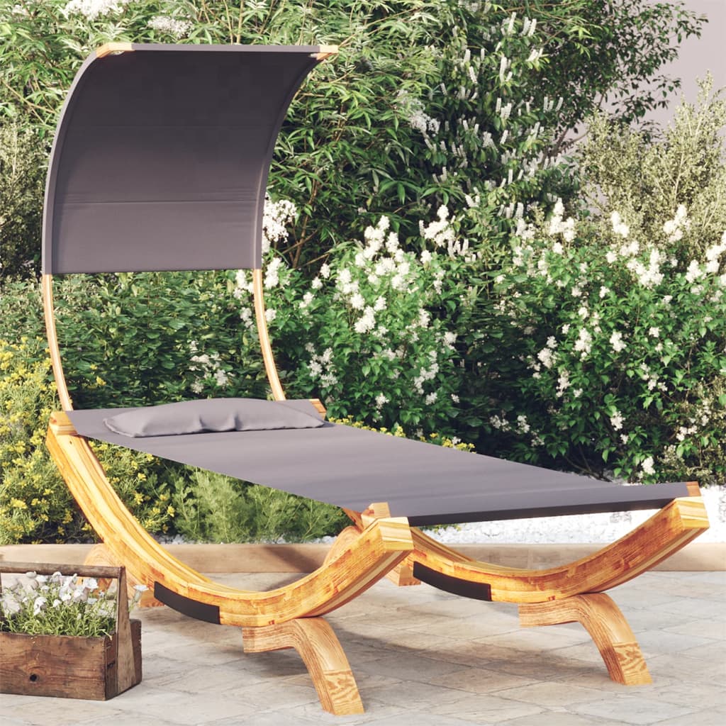 Ligbed Michiel - 100x200x126 cm - met luifel - antraciet