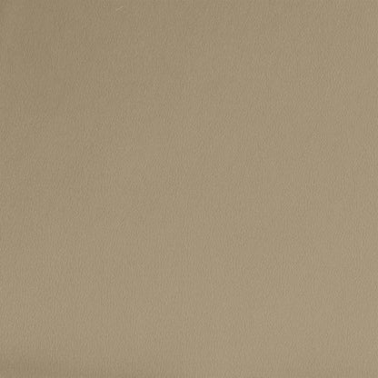 Slaapbank Leon - kunstleer - cappuccino