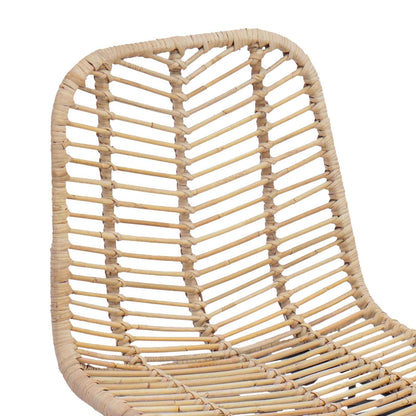 Barkruk 2 pcs 44 x 52 x 111 cm Riet en IJzer