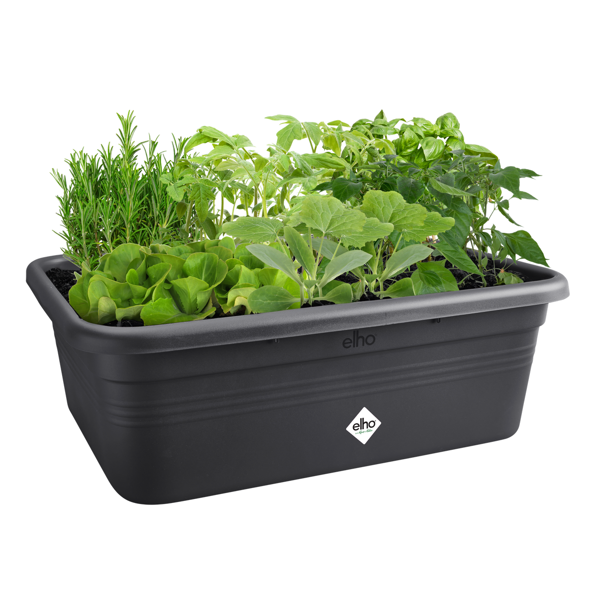 Elho Green Basics Grow Garden L Kweekbak | Retourdeal 25%