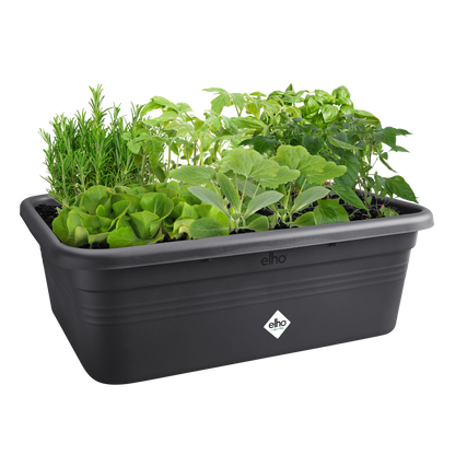 Elho Green Basics Grow Garden L Kweekbak | Retourdeal 25%