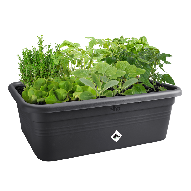 Elho Green Basics Grow Garden L Kweekbak | Retourdeal 25% – extra afbeelding