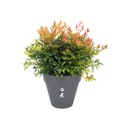Elho Loft Urban Rond 40 Bloempot Antraciet | Retourdeal 30%